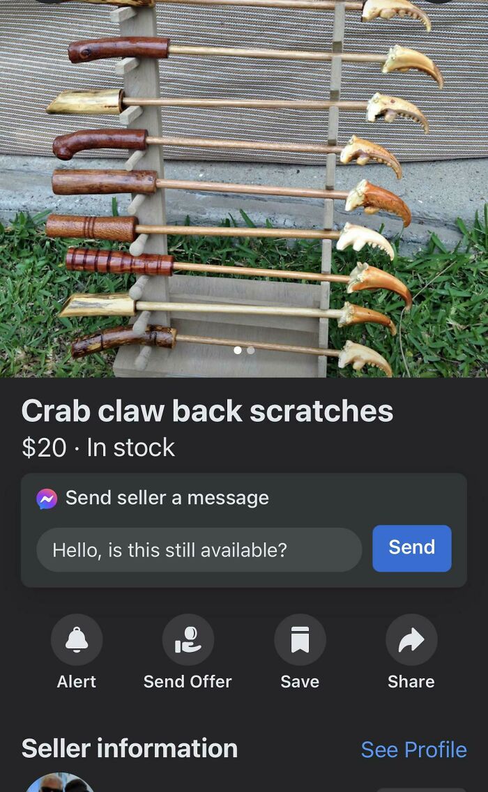 86 People Being Absolutely Unhinged And Ridiculous 86 People Being Absolutely Unhinged And Ridiculous
