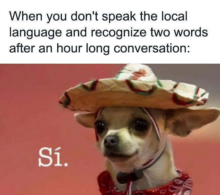86 Travel Memes To Make You Laugh While You Enjoy Your Vacay Abroad 86 Travel Memes To Make You Laugh While You Enjoy Your Vacay Abroad