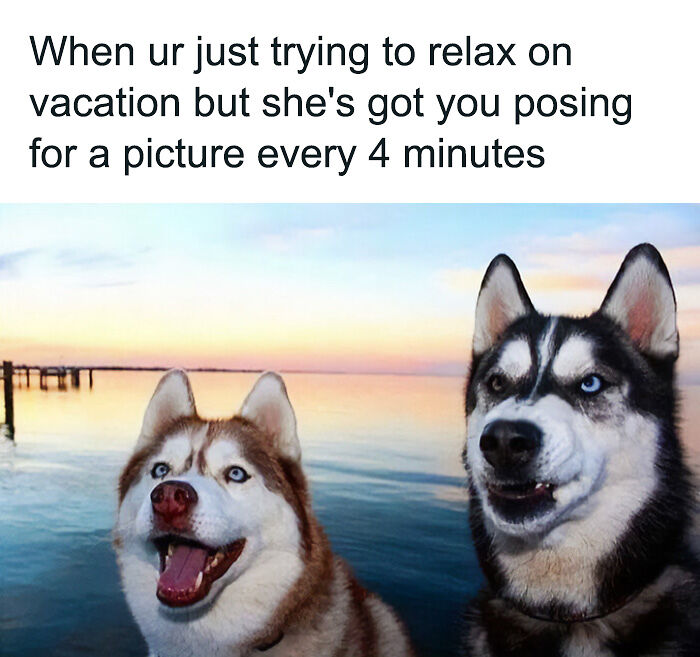 86 Travel Memes To Make You Laugh While You Enjoy Your Vacay Abroad 86 Travel Memes To Make You Laugh While You Enjoy Your Vacay Abroad