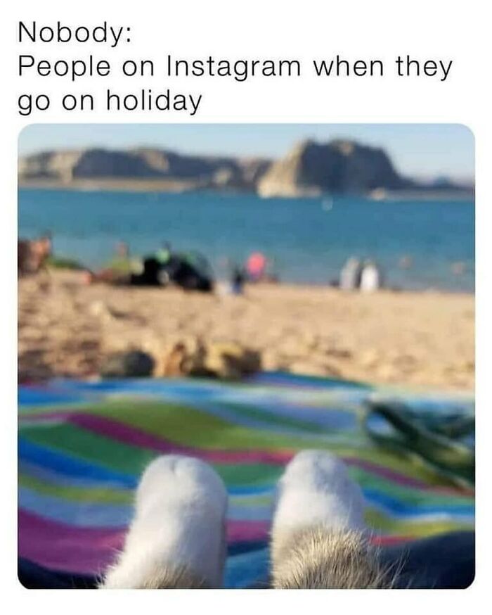 86 Travel Memes To Make You Laugh While You Enjoy Your Vacay Abroad 86 Travel Memes To Make You Laugh While You Enjoy Your Vacay Abroad