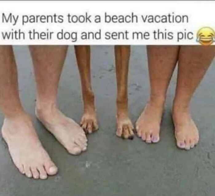 86 Travel Memes To Make You Laugh While You Enjoy Your Vacay Abroad 86 Travel Memes To Make You Laugh While You Enjoy Your Vacay Abroad