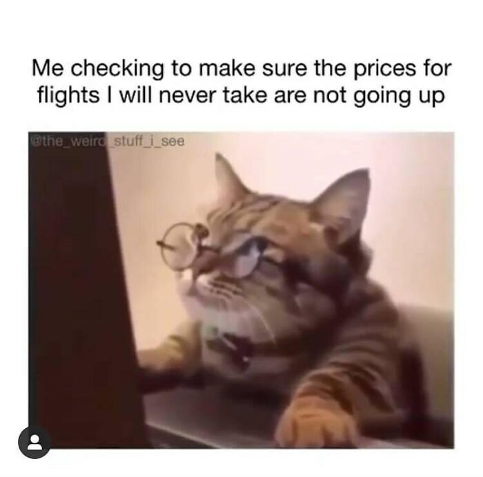 86 Travel Memes To Make You Laugh While You Enjoy Your Vacay Abroad 86 Travel Memes To Make You Laugh While You Enjoy Your Vacay Abroad