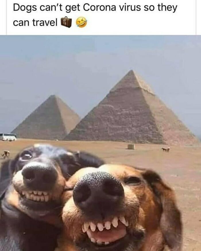 86 Travel Memes To Make You Laugh While You Enjoy Your Vacay Abroad 86 Travel Memes To Make You Laugh While You Enjoy Your Vacay Abroad