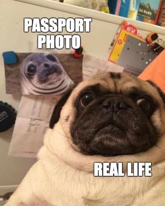 86 Travel Memes To Make You Laugh While You Enjoy Your Vacay Abroad 86 Travel Memes To Make You Laugh While You Enjoy Your Vacay Abroad