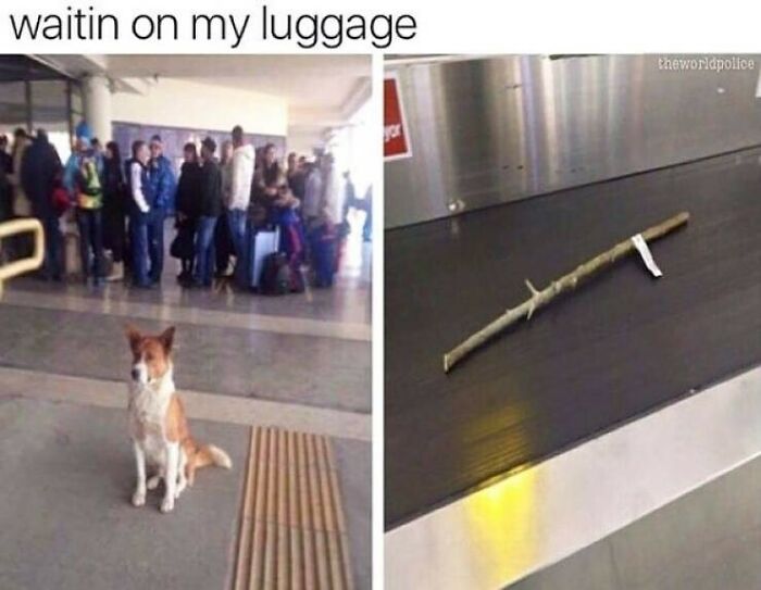 86 Travel Memes To Make You Laugh While You Enjoy Your Vacay Abroad 86 Travel Memes To Make You Laugh While You Enjoy Your Vacay Abroad