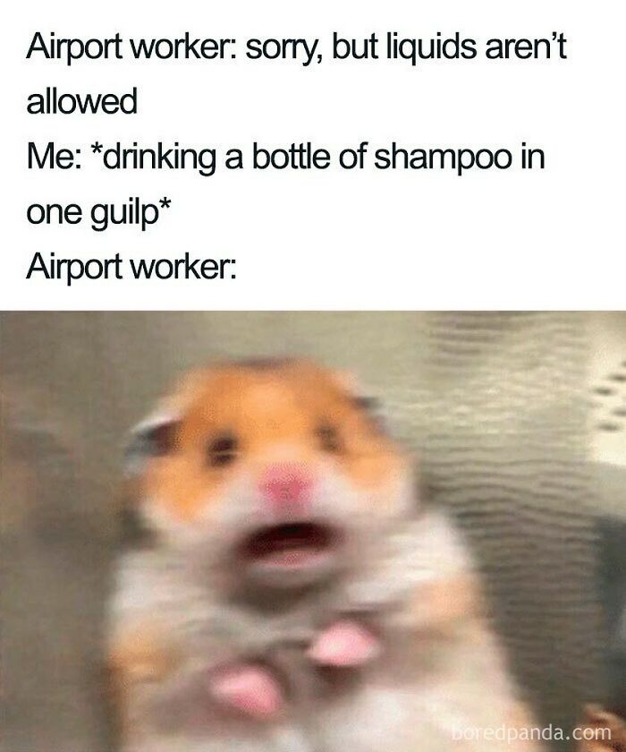 86 Travel Memes To Make You Laugh While You Enjoy Your Vacay Abroad 86 Travel Memes To Make You Laugh While You Enjoy Your Vacay Abroad