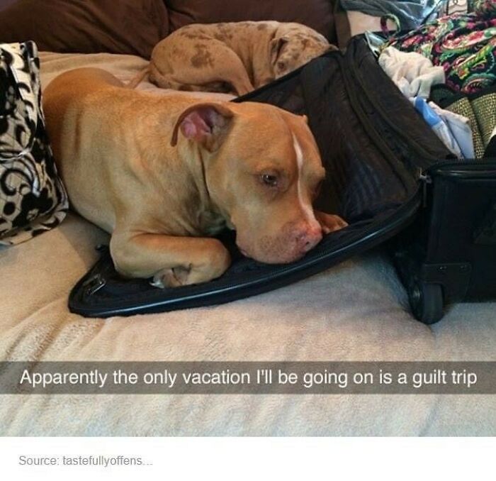 86 Travel Memes To Make You Laugh While You Enjoy Your Vacay Abroad 86 Travel Memes To Make You Laugh While You Enjoy Your Vacay Abroad