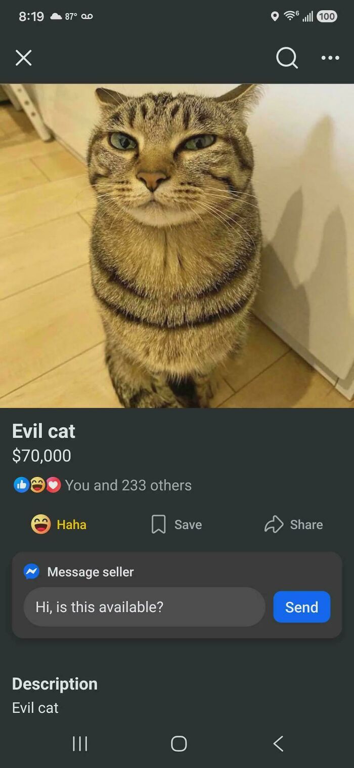 50 Times People Tried To Sell Something Completely Unhinged On Facebook Marketplace (New Pics) 50 Times People Tried To Sell Something Completely Unhinged On Facebook Marketplace (New Pics)