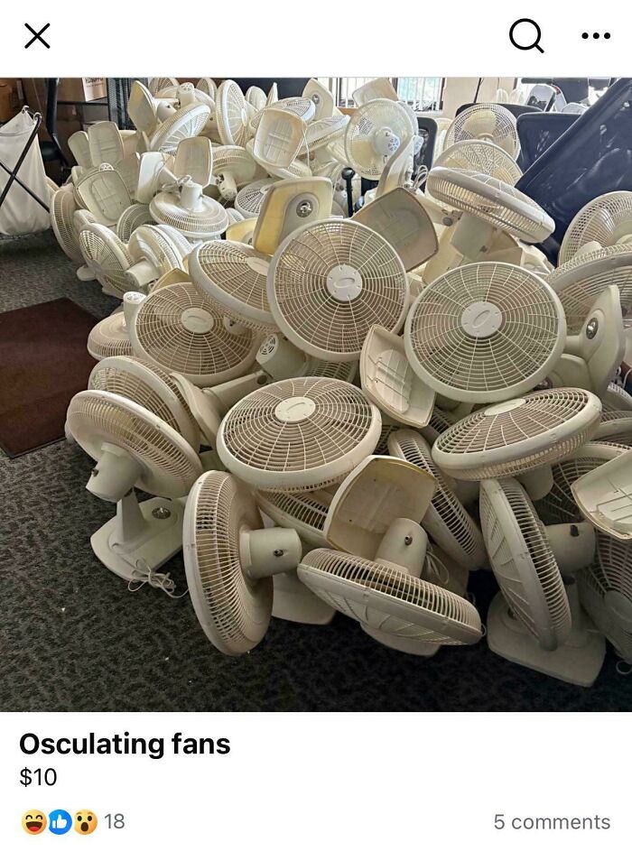 50 Times People Tried To Sell Something Completely Unhinged On Facebook Marketplace (New Pics) 50 Times People Tried To Sell Something Completely Unhinged On Facebook Marketplace (New Pics)