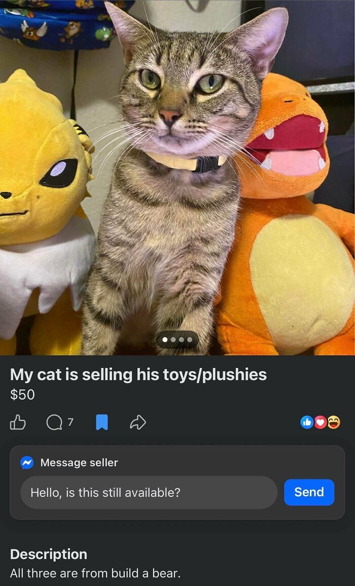 50 Times People Tried To Sell Something Completely Unhinged On Facebook Marketplace (New Pics) 50 Times People Tried To Sell Something Completely Unhinged On Facebook Marketplace (New Pics)
