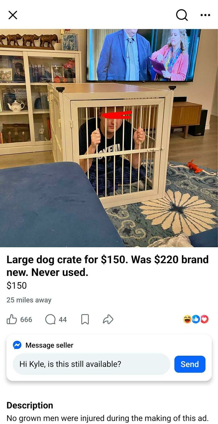 50 Times People Tried To Sell Something Completely Unhinged On Facebook Marketplace (New Pics) 50 Times People Tried To Sell Something Completely Unhinged On Facebook Marketplace (New Pics)