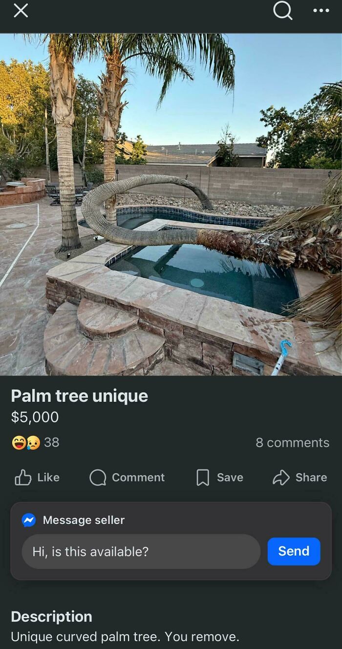 50 Times People Tried To Sell Something Completely Unhinged On Facebook Marketplace (New Pics) 50 Times People Tried To Sell Something Completely Unhinged On Facebook Marketplace (New Pics)