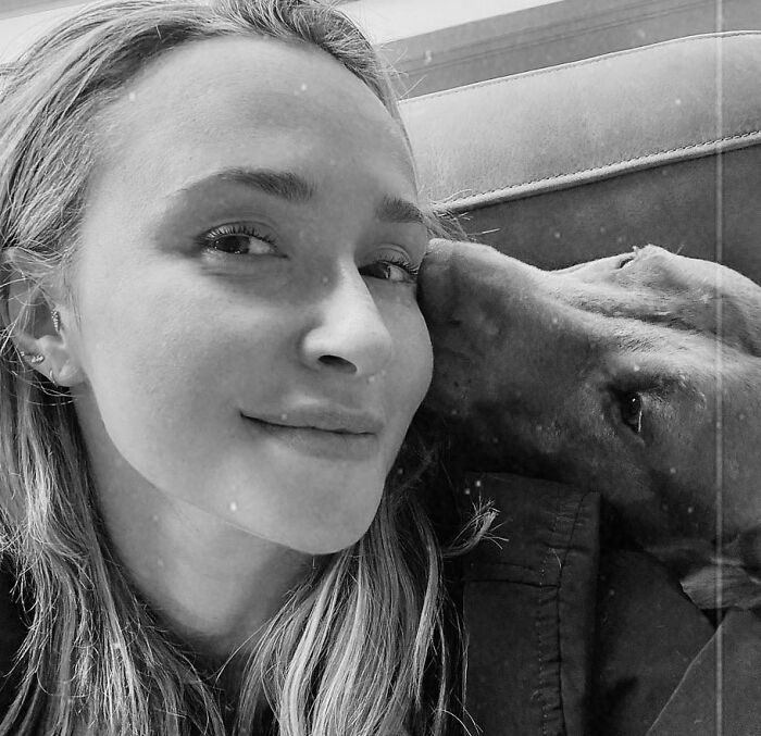 “She Was Desperate”: Hayden Panettiere’s Heartbreaking Final Days Revealed As Hollywood Allegedly Turned On Her “She Was Desperate”: Hayden Panettiere’s Heartbreaking Final Days Revealed As Hollywood Allegedly Turned On Her