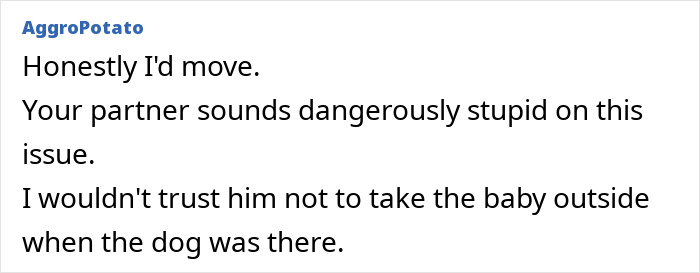 XL Bully Roams Without Leash Or Muzzle, Owner Laughs After It “Plays” With Pregnant Neighbor XL Bully Roams Without Leash Or Muzzle, Owner Laughs After It “Plays” With Pregnant Neighbor