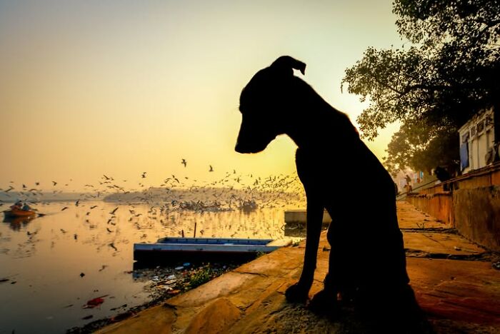 Murat Bakmaz Captures The Easily Missed Beauty Of Everyday Life In 49 Photographs Murat Bakmaz Captures The Easily Missed Beauty Of Everyday Life In 49 Photographs