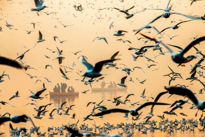 Murat Bakmaz Captures The Easily Missed Beauty Of Everyday Life In 49 Photographs Murat Bakmaz Captures The Easily Missed Beauty Of Everyday Life In 49 Photographs
