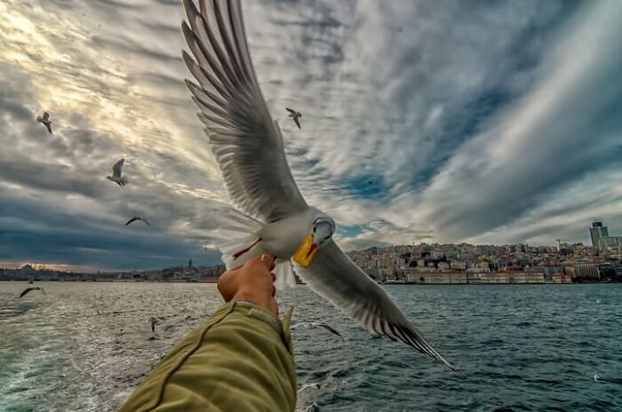 Murat Bakmaz Captures The Easily Missed Beauty Of Everyday Life In 49 Photographs Murat Bakmaz Captures The Easily Missed Beauty Of Everyday Life In 49 Photographs