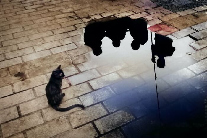 Murat Bakmaz Captures The Easily Missed Beauty Of Everyday Life In 49 Photographs Murat Bakmaz Captures The Easily Missed Beauty Of Everyday Life In 49 Photographs