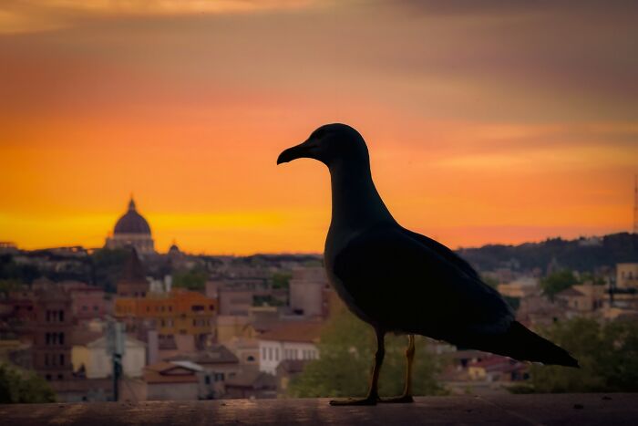 Murat Bakmaz Captures The Easily Missed Beauty Of Everyday Life In 49 Photographs Murat Bakmaz Captures The Easily Missed Beauty Of Everyday Life In 49 Photographs