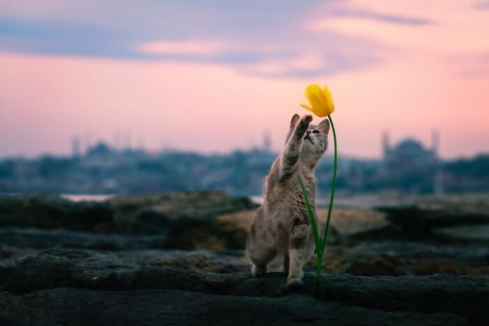 Murat Bakmaz Captures The Easily Missed Beauty Of Everyday Life In 49 Photographs Murat Bakmaz Captures The Easily Missed Beauty Of Everyday Life In 49 Photographs