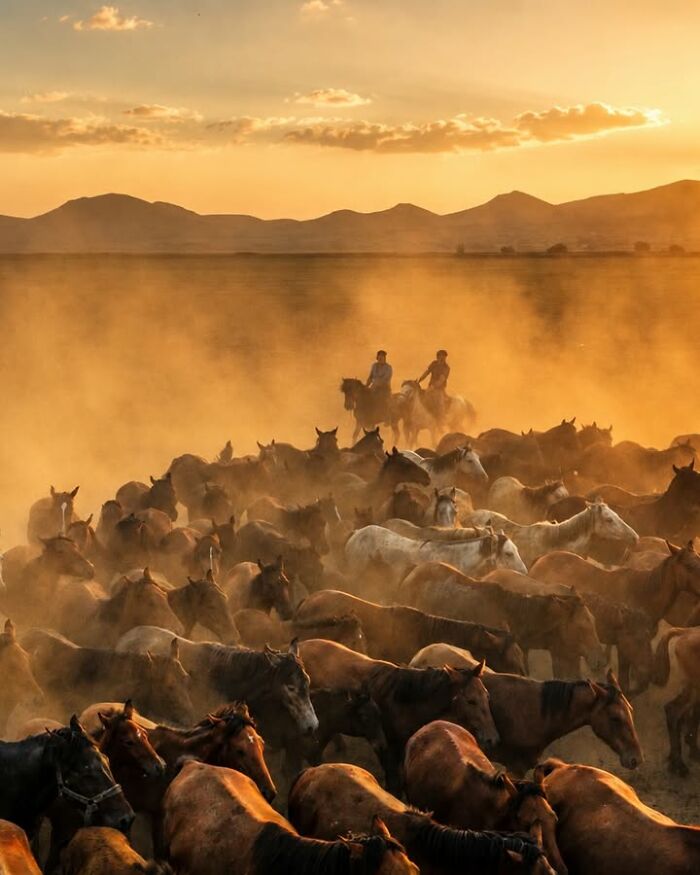 Murat Bakmaz Captures The Easily Missed Beauty Of Everyday Life In 49 Photographs Murat Bakmaz Captures The Easily Missed Beauty Of Everyday Life In 49 Photographs