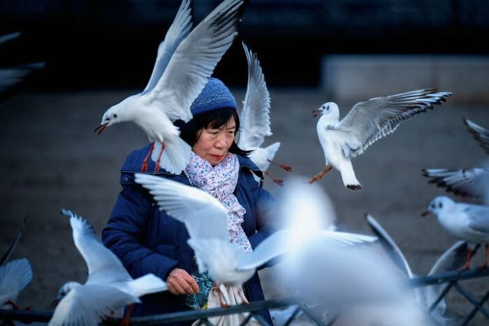 Murat Bakmaz Captures The Easily Missed Beauty Of Everyday Life In 49 Photographs Murat Bakmaz Captures The Easily Missed Beauty Of Everyday Life In 49 Photographs