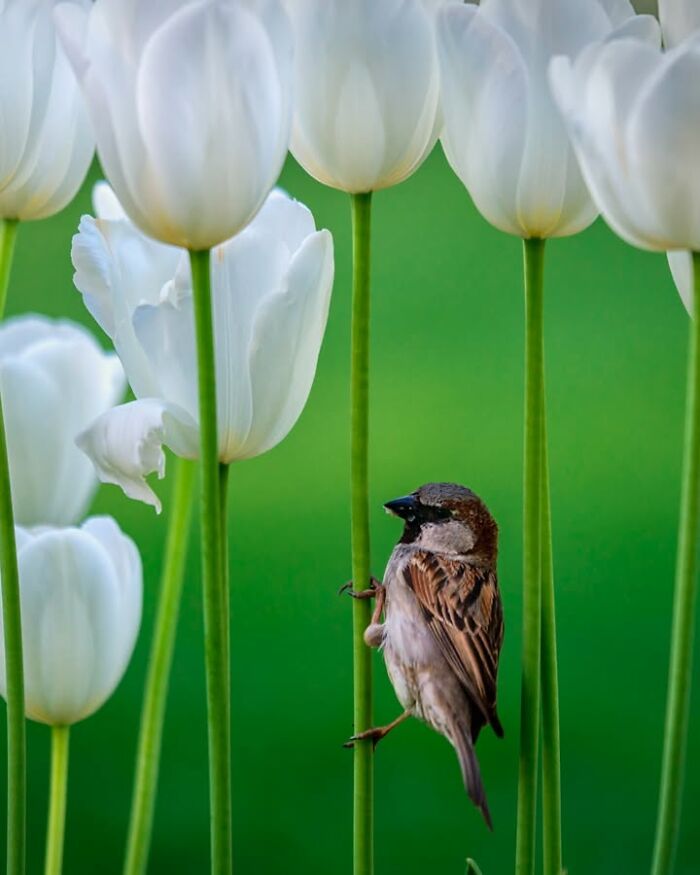 Murat Bakmaz Captures The Easily Missed Beauty Of Everyday Life In 49 Photographs Murat Bakmaz Captures The Easily Missed Beauty Of Everyday Life In 49 Photographs