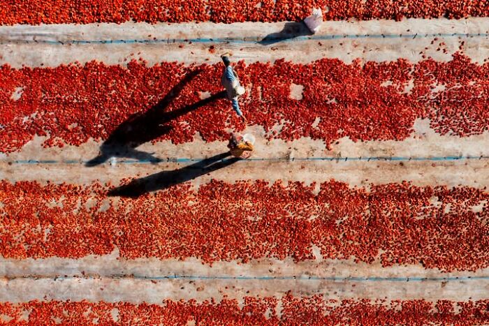 Murat Bakmaz Captures The Easily Missed Beauty Of Everyday Life In 49 Photographs Murat Bakmaz Captures The Easily Missed Beauty Of Everyday Life In 49 Photographs