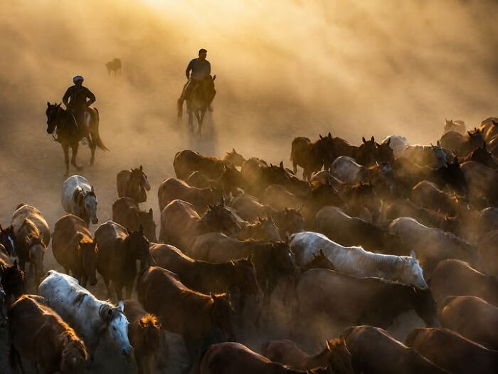 Murat Bakmaz Captures The Easily Missed Beauty Of Everyday Life In 49 Photographs Murat Bakmaz Captures The Easily Missed Beauty Of Everyday Life In 49 Photographs
