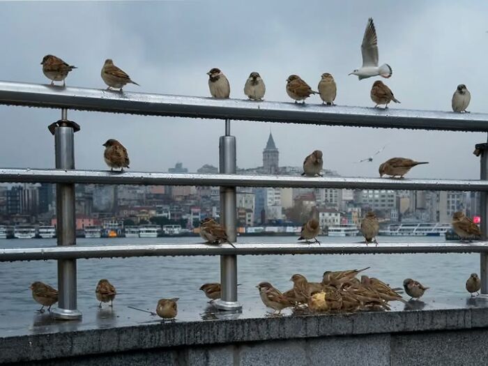 Murat Bakmaz Captures The Easily Missed Beauty Of Everyday Life In 49 Photographs Murat Bakmaz Captures The Easily Missed Beauty Of Everyday Life In 49 Photographs