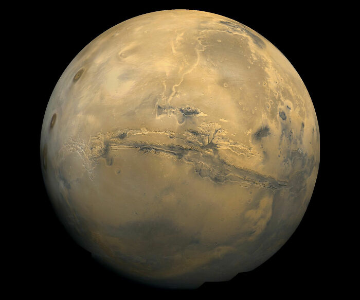 “Jellyfish” Spotted In NASA Mars Photo Sparks Frenzy As People Dig For Explanation “Jellyfish” Spotted In NASA Mars Photo Sparks Frenzy As People Dig For Explanation