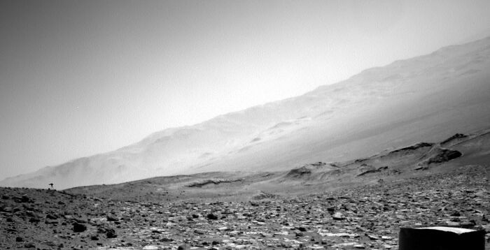 “Jellyfish” Spotted In NASA Mars Photo Sparks Frenzy As People Dig For Explanation “Jellyfish” Spotted In NASA Mars Photo Sparks Frenzy As People Dig For Explanation