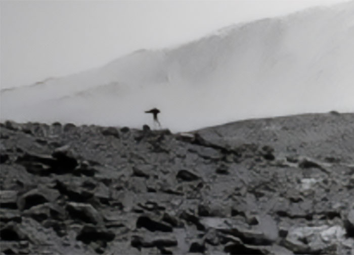 “Jellyfish” Spotted In NASA Mars Photo Sparks Frenzy As People Dig For Explanation “Jellyfish” Spotted In NASA Mars Photo Sparks Frenzy As People Dig For Explanation