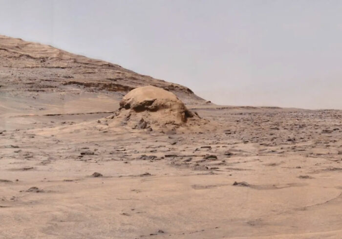 “Jellyfish” Spotted In NASA Mars Photo Sparks Frenzy As People Dig For Explanation “Jellyfish” Spotted In NASA Mars Photo Sparks Frenzy As People Dig For Explanation
