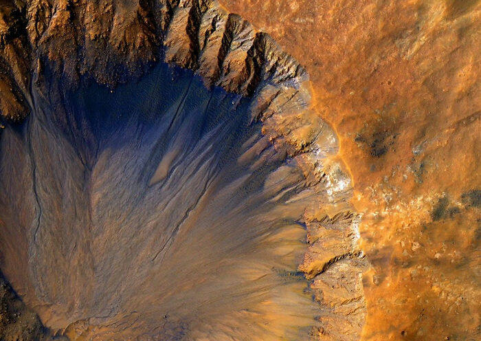 “Jellyfish” Spotted In NASA Mars Photo Sparks Frenzy As People Dig For Explanation “Jellyfish” Spotted In NASA Mars Photo Sparks Frenzy As People Dig For Explanation