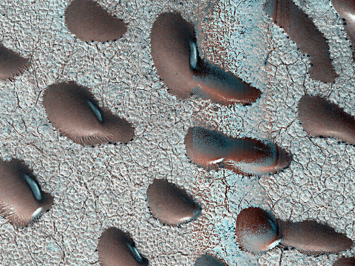 “Jellyfish” Spotted In NASA Mars Photo Sparks Frenzy As People Dig For Explanation “Jellyfish” Spotted In NASA Mars Photo Sparks Frenzy As People Dig For Explanation