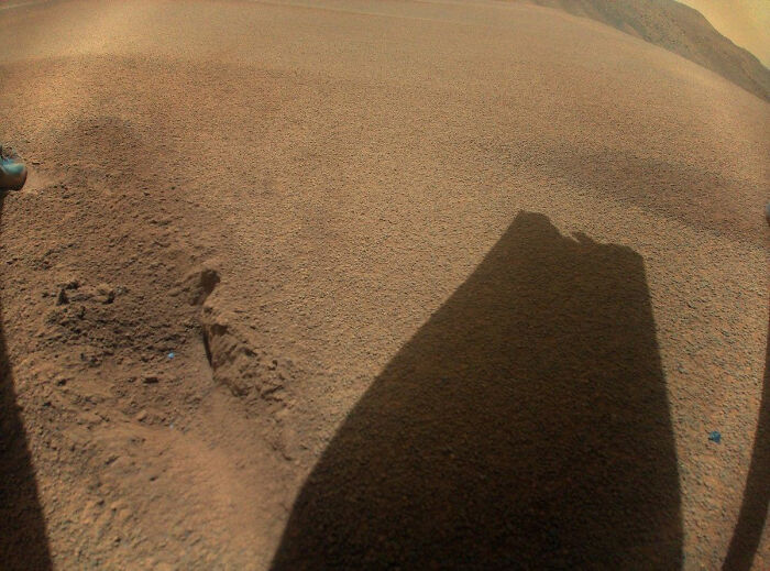 “Jellyfish” Spotted In NASA Mars Photo Sparks Frenzy As People Dig For Explanation “Jellyfish” Spotted In NASA Mars Photo Sparks Frenzy As People Dig For Explanation