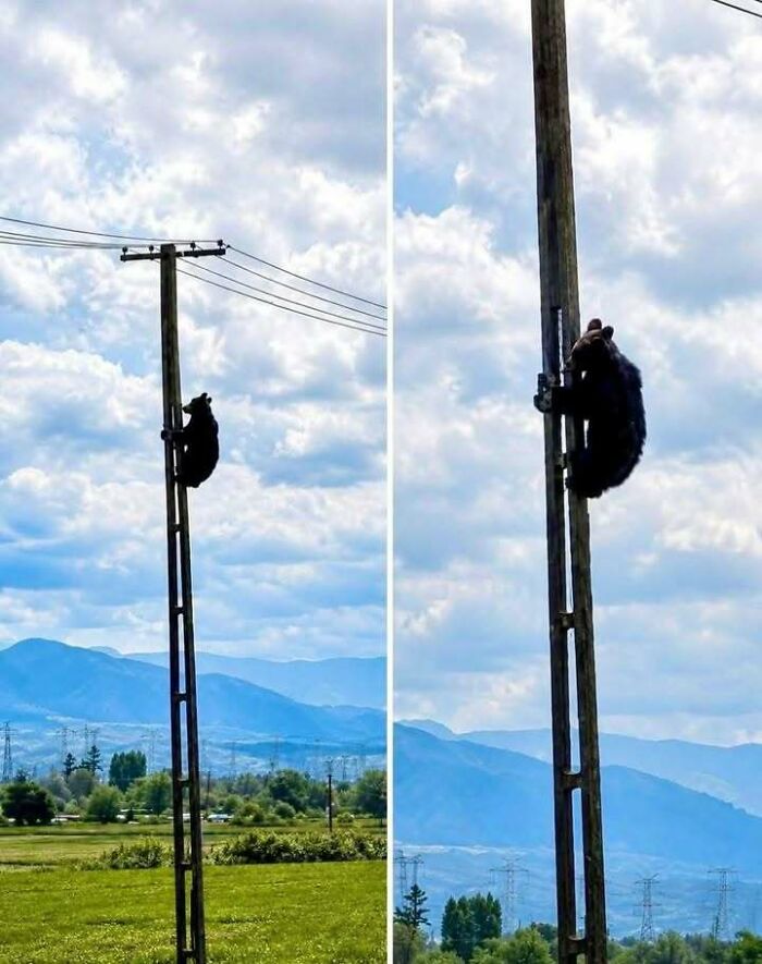 77 Posts And Memes That Show Why People From Eastern Europe Are Built Different (New Pics)