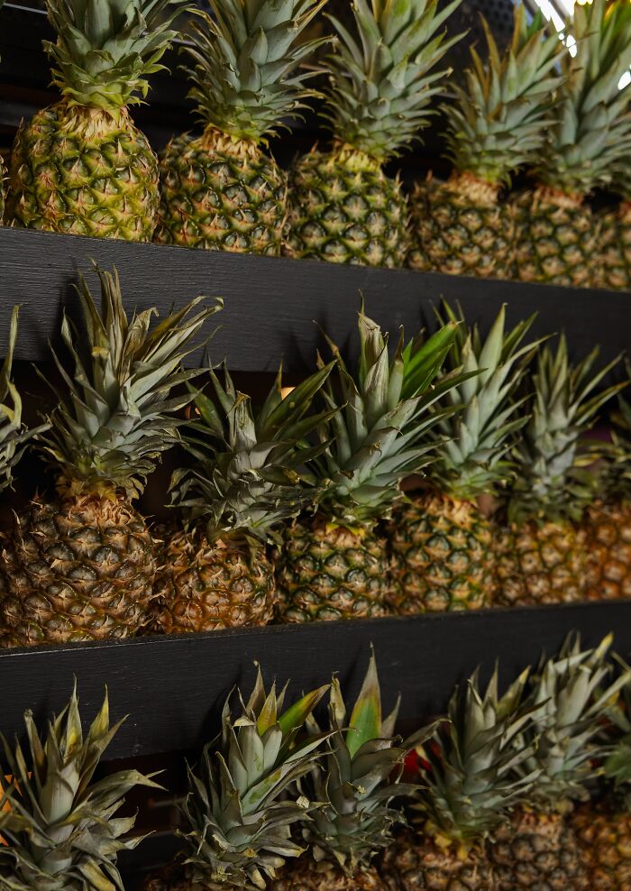 48 Things About America That Took Newcomers Completely By Surprise