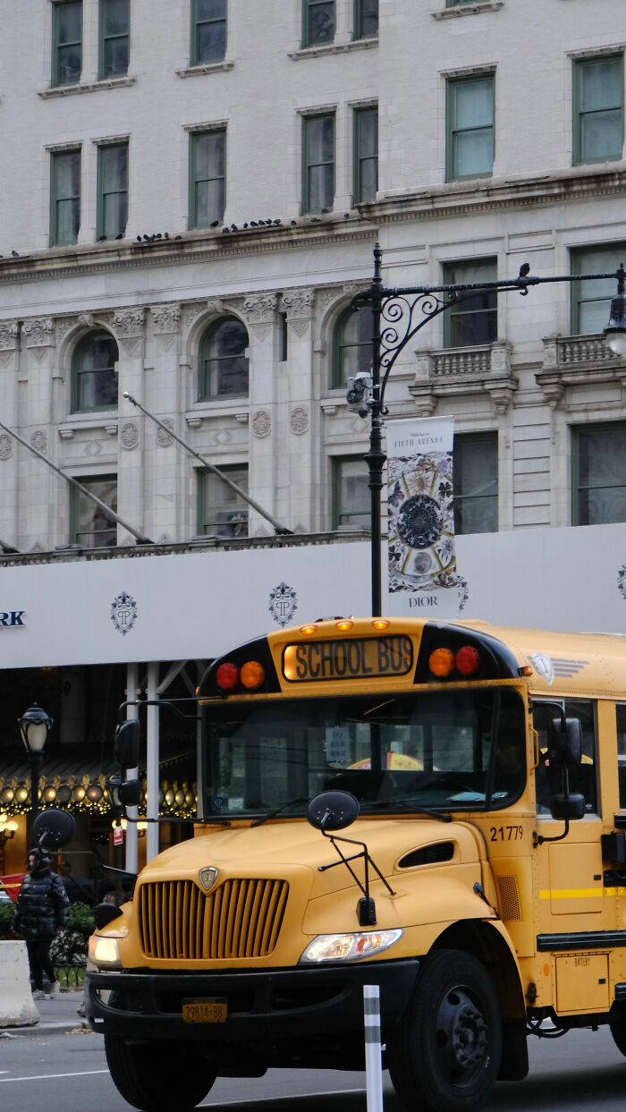 48 Things About America That Took Newcomers Completely By Surprise
