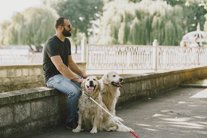 48 Things About America That Took Newcomers Completely By Surprise