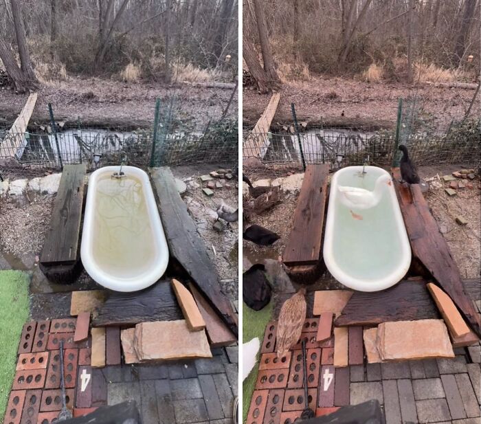 81 Power Washing Pics That Are So Satisfying, They Might Make Cleaning Look Fun (New Pics)