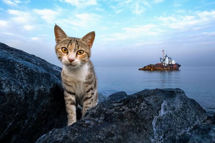 32 Remarkable Photographs By Tittu Shaji Thomas That Capture Life Across Cultures And Landscapes 32 Remarkable Photographs By Tittu Shaji Thomas That Capture Life Across Cultures And Landscapes