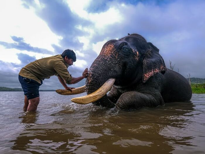 32 Remarkable Photographs By Tittu Shaji Thomas That Capture Life Across Cultures And Landscapes 32 Remarkable Photographs By Tittu Shaji Thomas That Capture Life Across Cultures And Landscapes