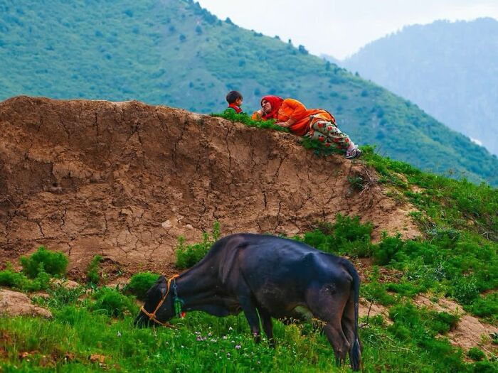 32 Remarkable Photographs By Tittu Shaji Thomas That Capture Life Across Cultures And Landscapes 32 Remarkable Photographs By Tittu Shaji Thomas That Capture Life Across Cultures And Landscapes