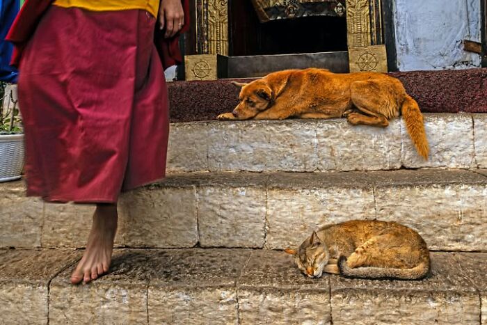 32 Remarkable Photographs By Tittu Shaji Thomas That Capture Life Across Cultures And Landscapes 32 Remarkable Photographs By Tittu Shaji Thomas That Capture Life Across Cultures And Landscapes