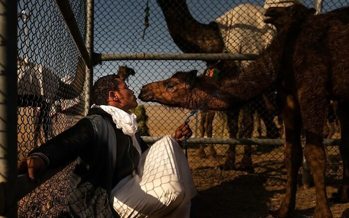 32 Remarkable Photographs By Tittu Shaji Thomas That Capture Life Across Cultures And Landscapes 32 Remarkable Photographs By Tittu Shaji Thomas That Capture Life Across Cultures And Landscapes