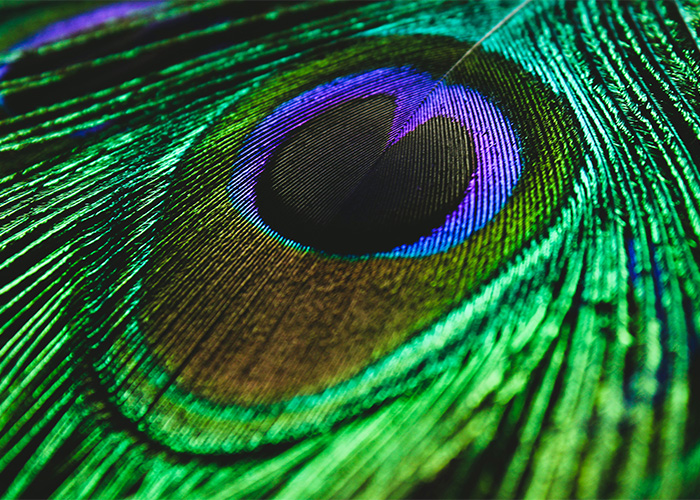 Scientists Have Found A Way To Show Humans A New Color Called “Olo,” But Only Five People Have Ever Seen It Scientists Have Found A Way To Show Humans A New Color Called “Olo,” But Only Five People Have Ever Seen It
