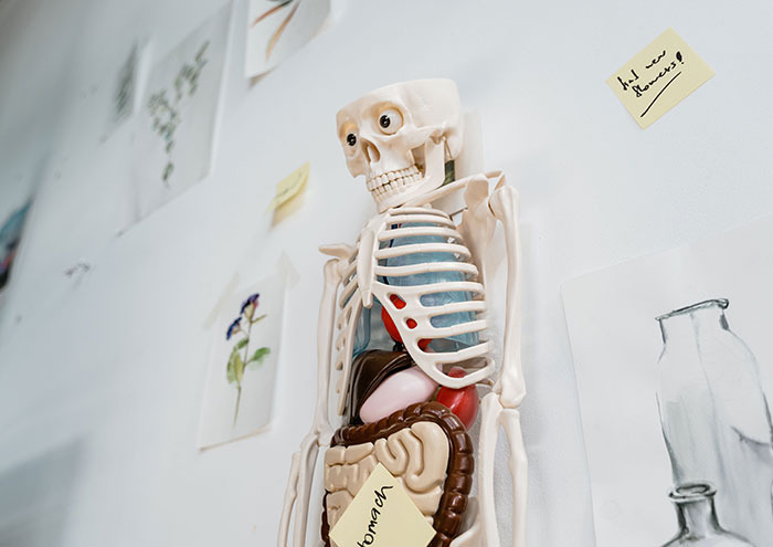 Families Donated Their Loved Ones’ Bodies To Harvard For Science, Until They Learned What Really Happened Families Donated Their Loved Ones’ Bodies To Harvard For Science, Until They Learned What Really Happened