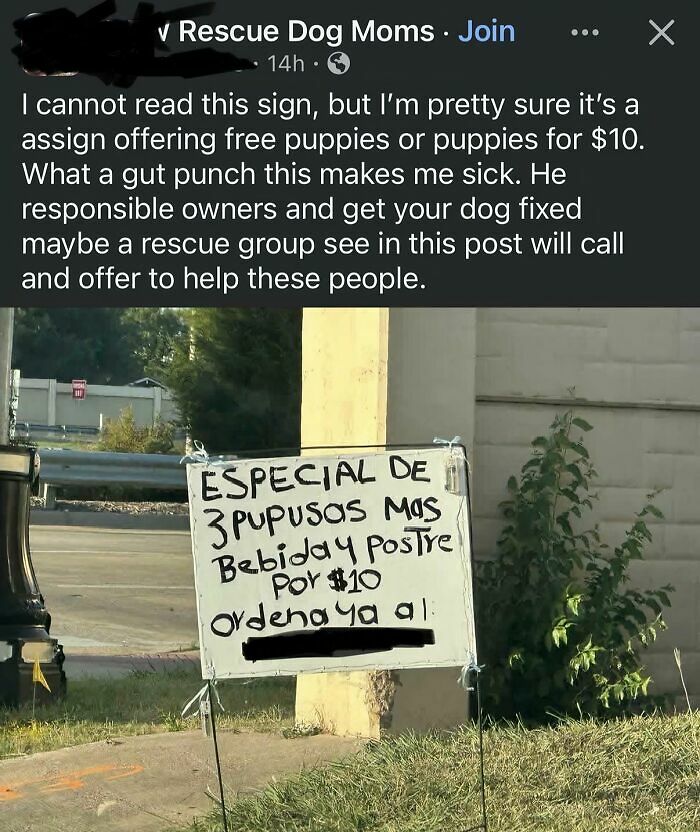 63 Cringe And Hilarious Moments Of People Being Wrong With Full Confidence (New Pics) 63 Cringe And Hilarious Moments Of People Being Wrong With Full Confidence (New Pics)